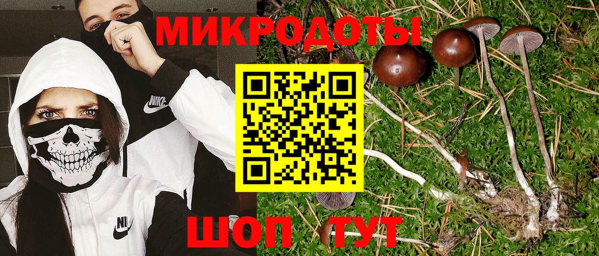 Котельники  Псилоцибиновые грибы Magic Shrooms  Вход с VPN  Галлюциногенные грибы MAGIC MUSHROOMS 
