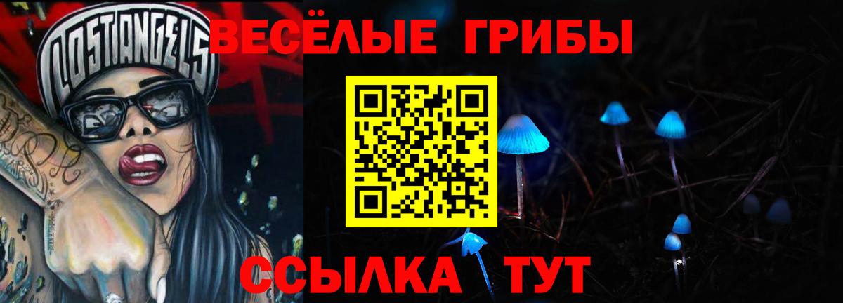 Галлюциногенные грибы прущие грибы Котельники